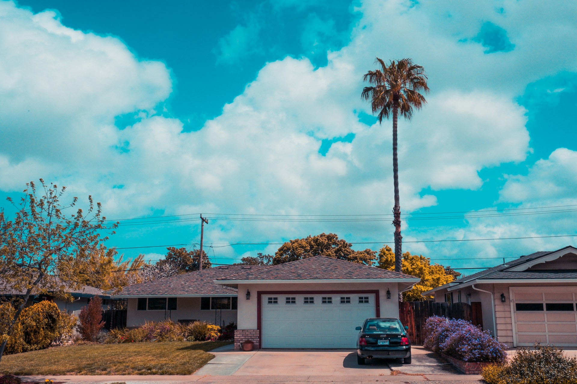 Chandler Arizona home with a garage and palm tree